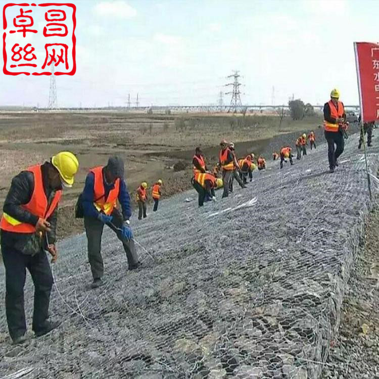 1628817542438043905.jpg 1782(9).jpg