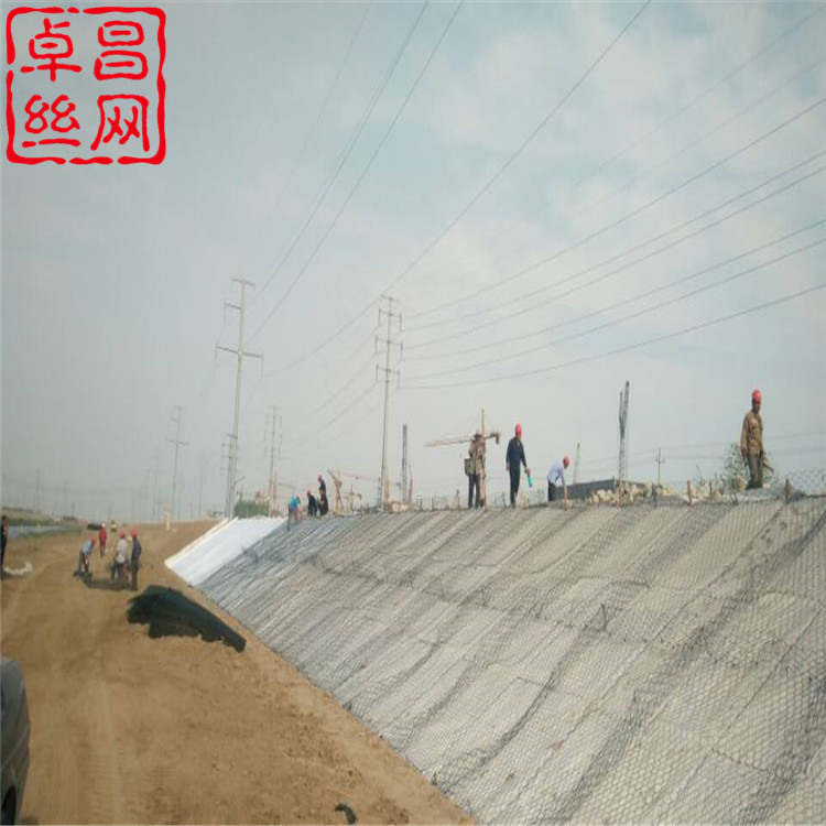 1657964615280074637.jpg 1769 (16).jpg