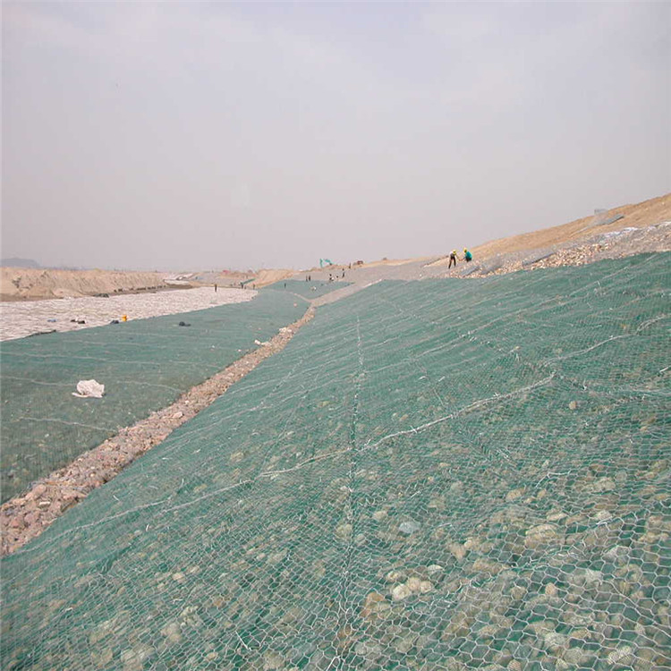 1690937386275099019.jpg 1549.jpg