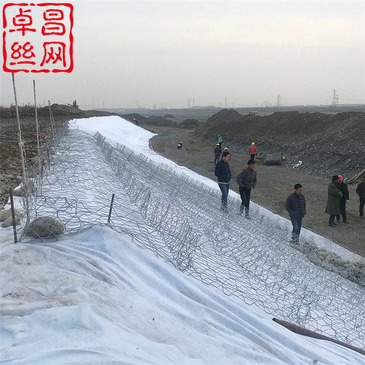 1691975611292094738.jpg 401.jpg