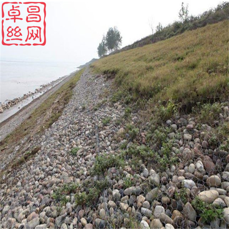 1692927503362031245.jpg 608.jpg