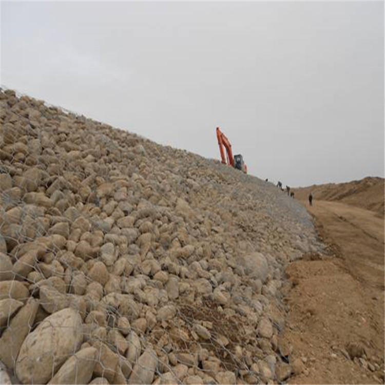 1693533594076030969.jpg 卓昌 (460).jpg