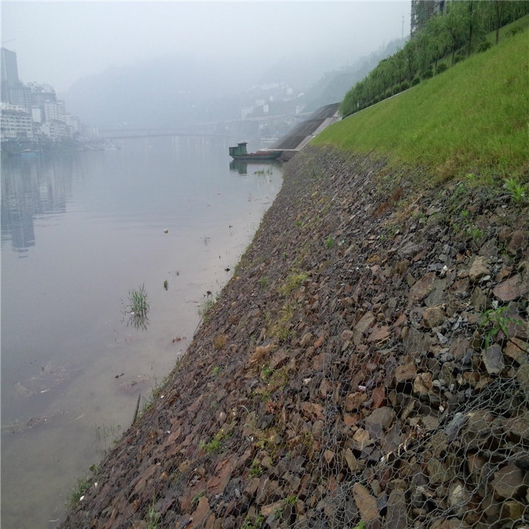 1693963408751024985.jpg 1534.jpg