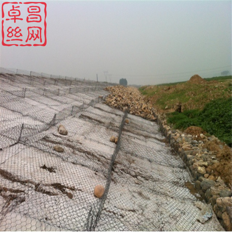 1700875297922028205.jpg 884.jpg