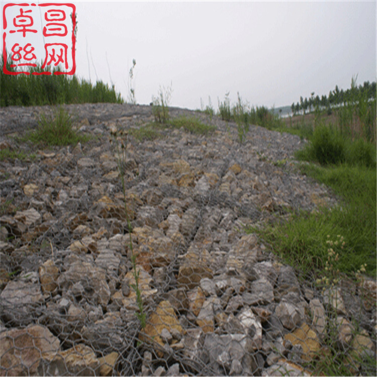 1702605021391067064.jpg 1197.jpg