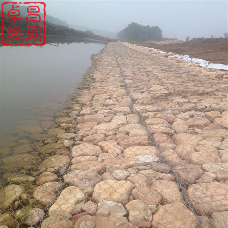 1703208288219062029.jpg 1467.jpg